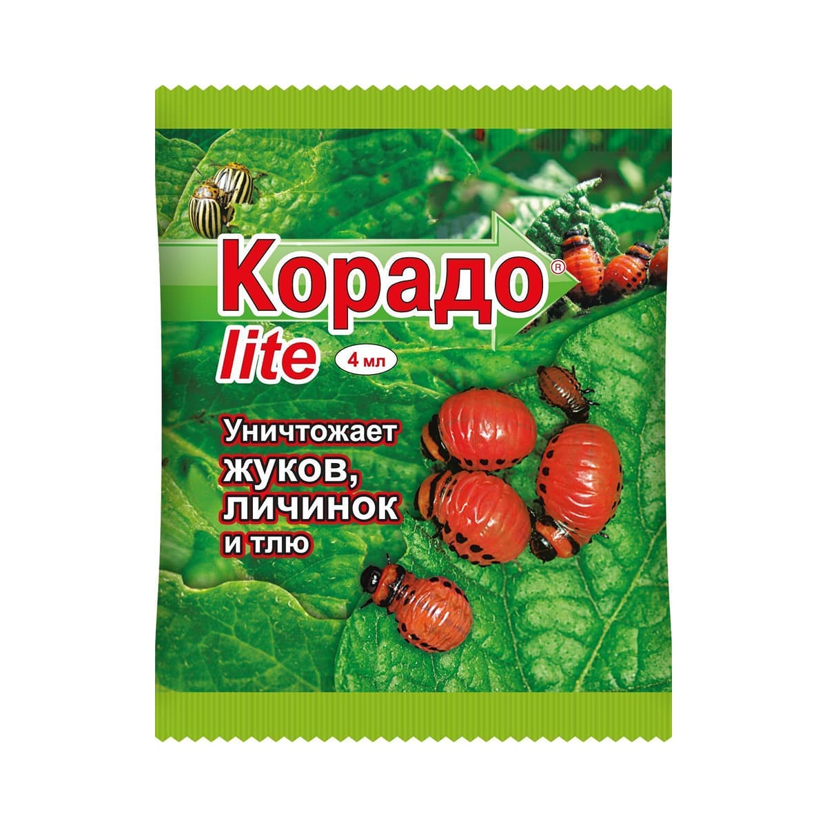 Корадо LITE