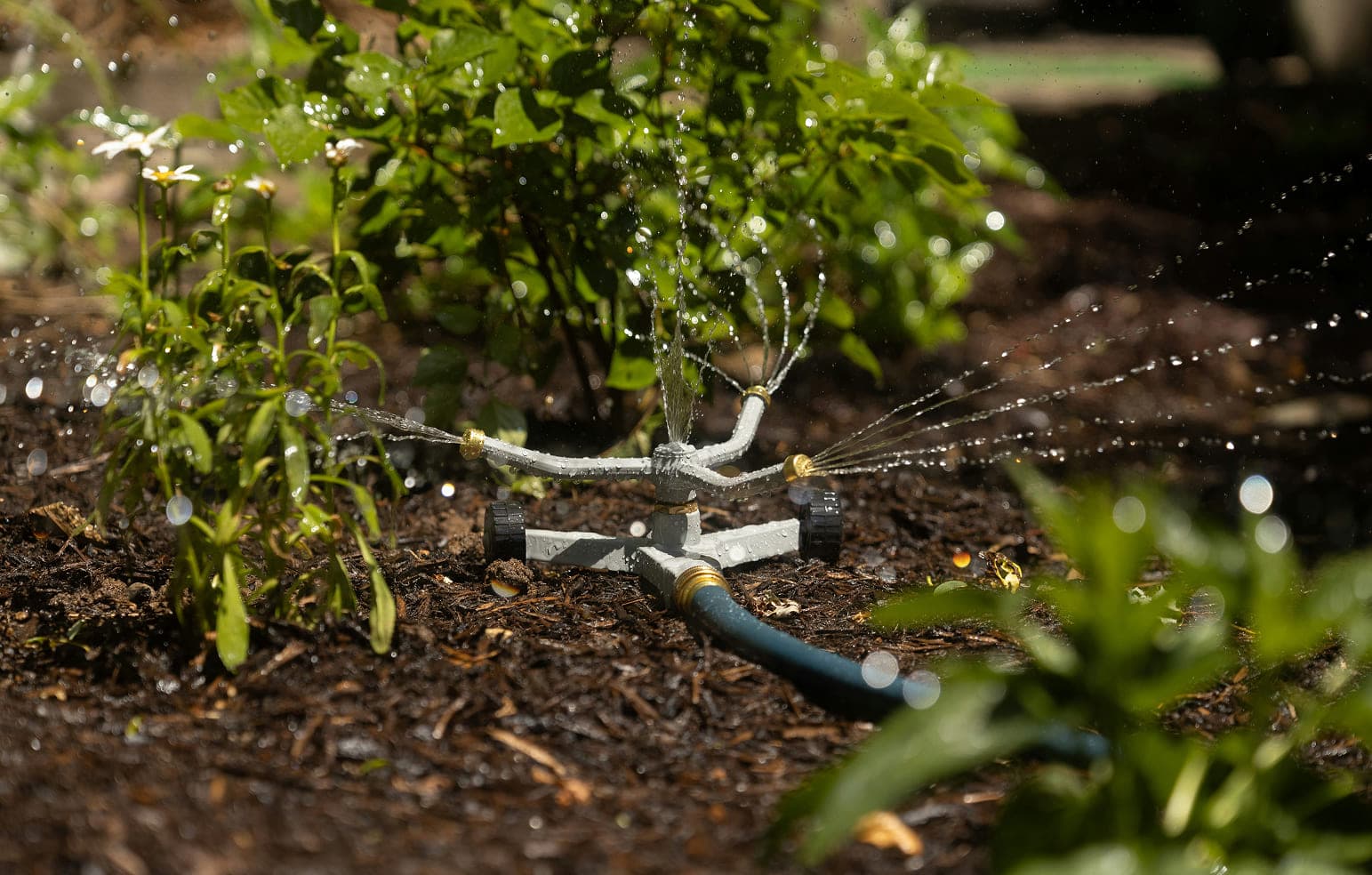 Органическая мульча и ее влияние на плодородие почвы