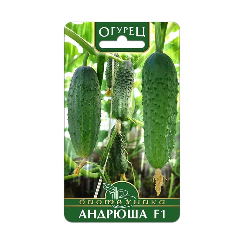 Огурец Андрюша F1