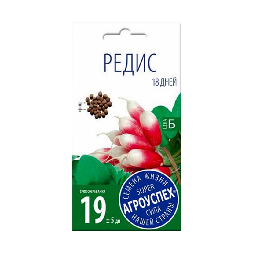 Редис 18 дней