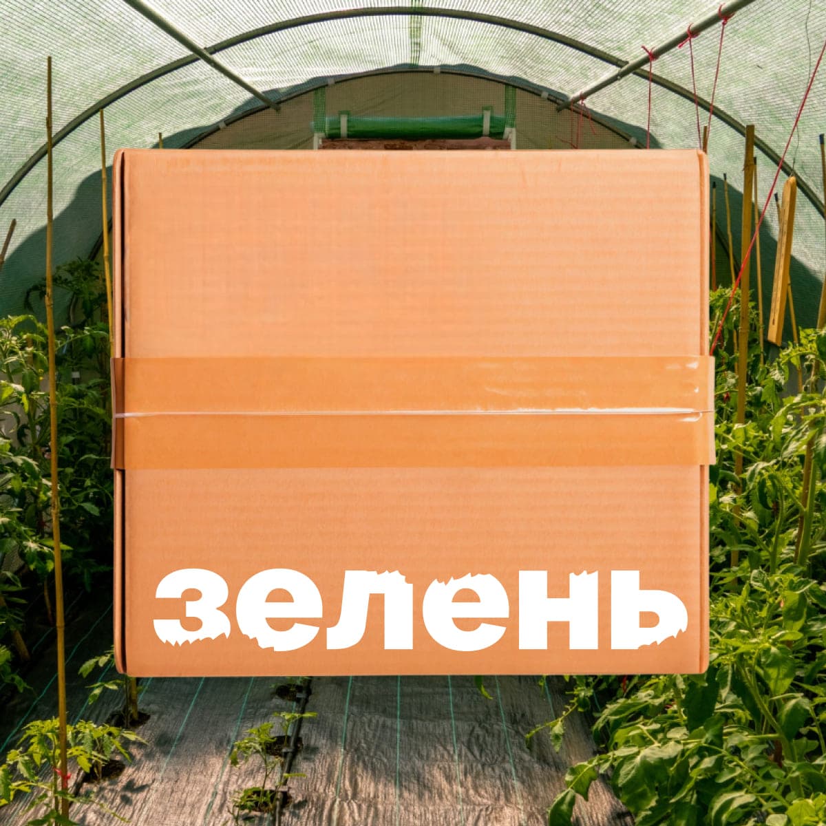 Фото товара 1