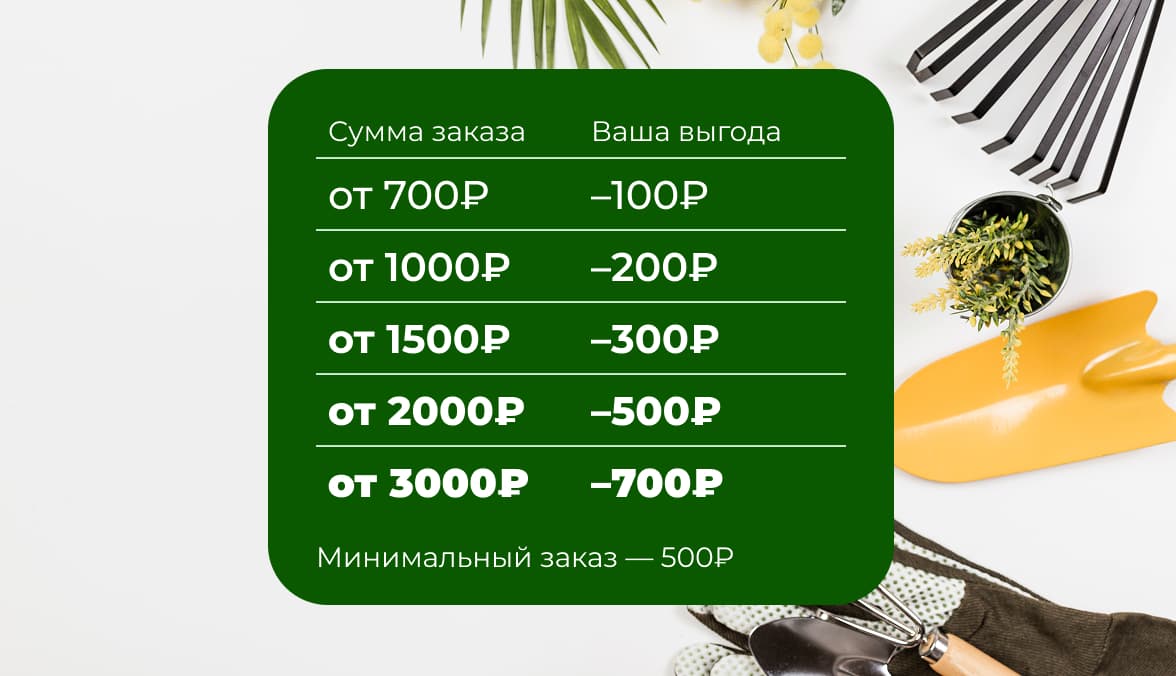 Выгодно с первого заказа